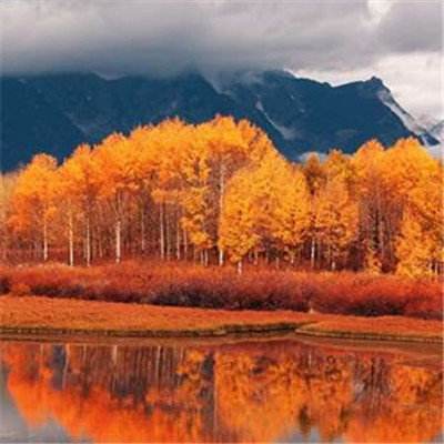 金沙集团9500官网