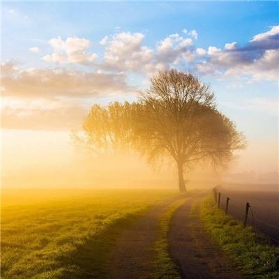 澳门太阳游戏网站